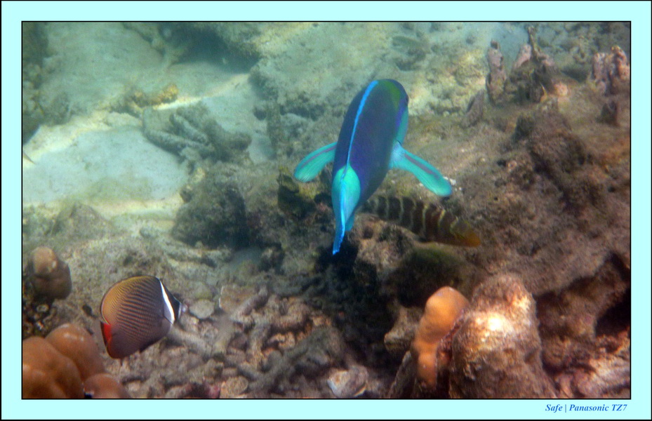 2011 - 03 - Koh Ngai 121
